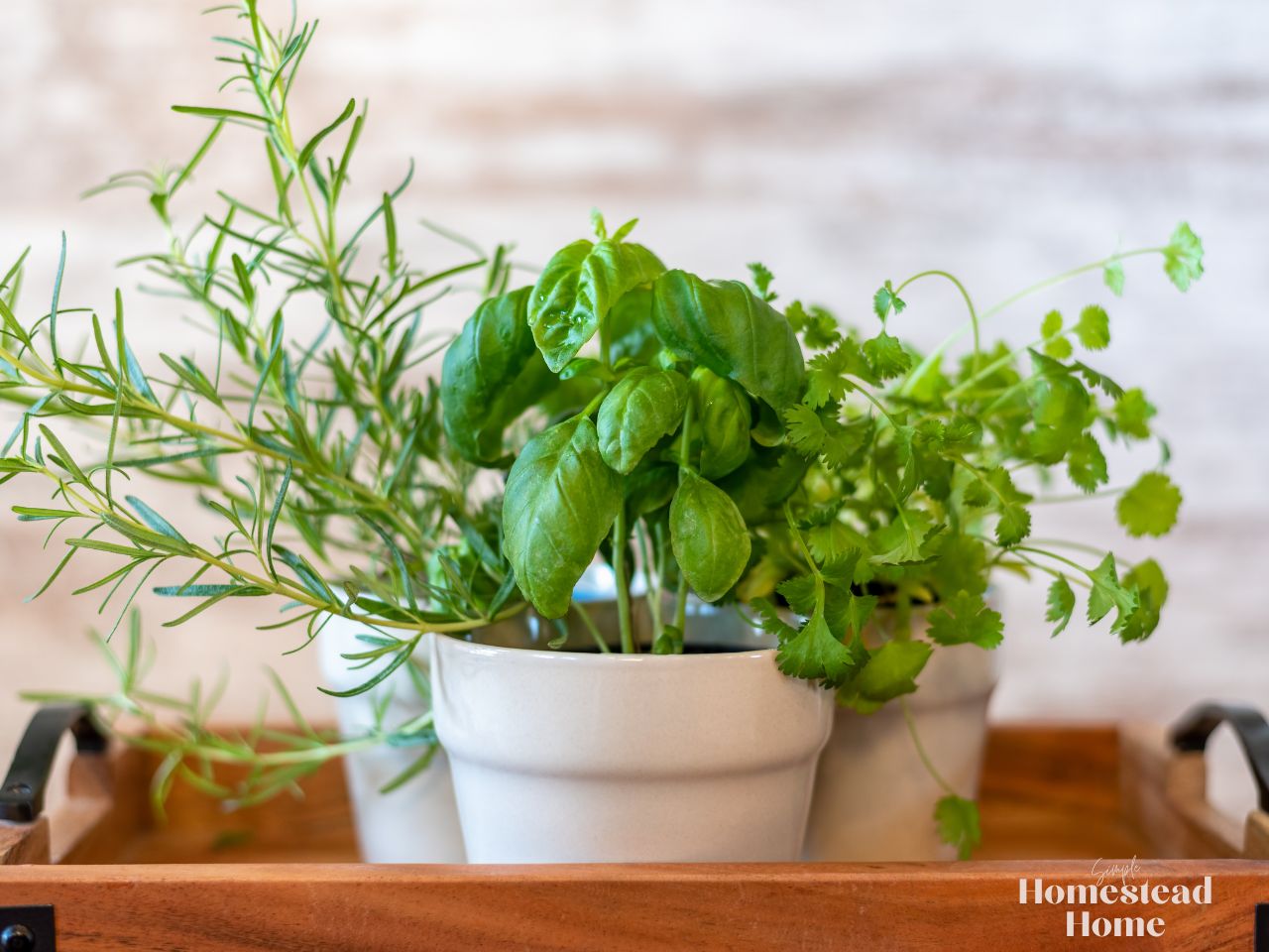 A variety of herbs in a ceramic pot, sitting on a wooden table.